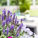 Hotel Villa Solln